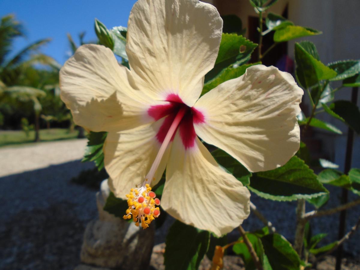 Serenity Sands Corozal Eksteriør bilde